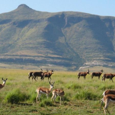 Moolmanshoek Private Game Reserve Hotel Ficksburg Kültér fotó