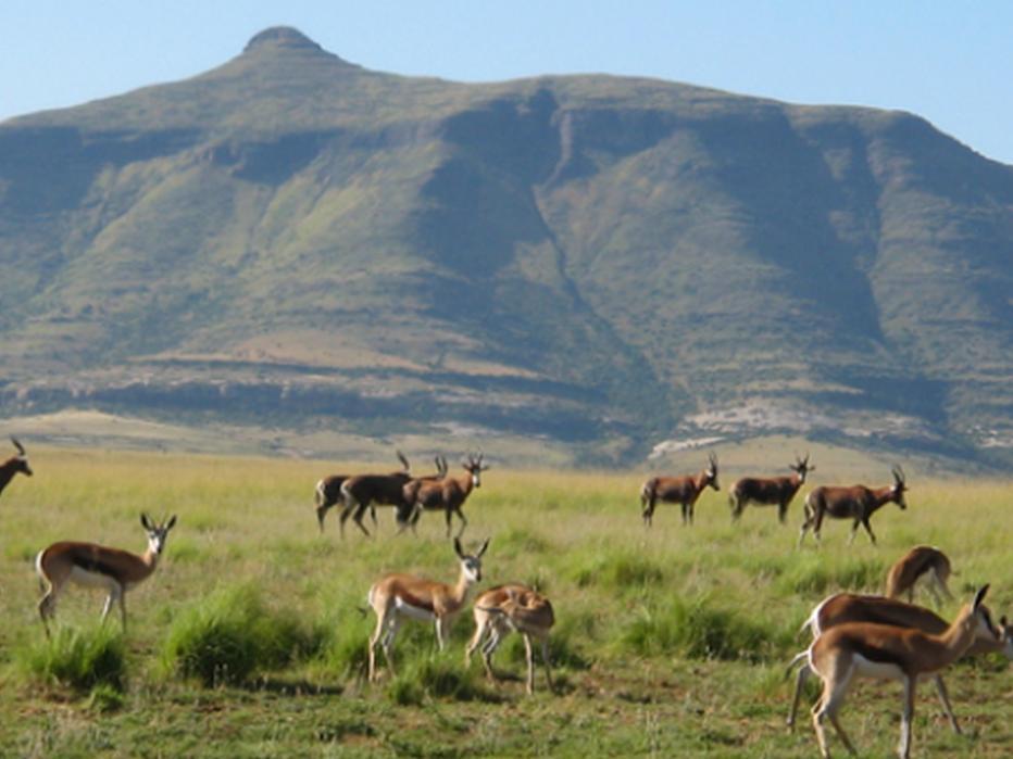 Moolmanshoek Private Game Reserve Hotel Ficksburg Kültér fotó